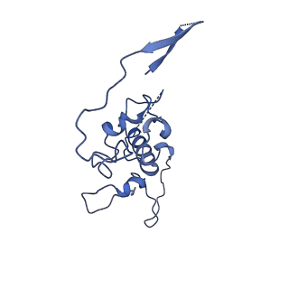 17720_8qsj_r_v1-0
Human mitoribosomal large subunit assembly intermediate 2 with GTPBP7