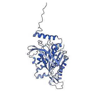 17720_8qsj_s_v1-0
Human mitoribosomal large subunit assembly intermediate 2 with GTPBP7