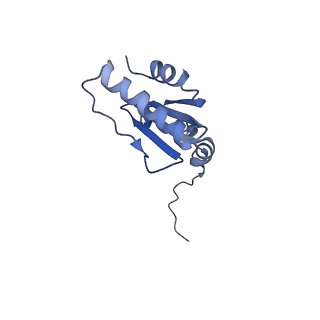 17720_8qsj_u_v1-0
Human mitoribosomal large subunit assembly intermediate 2 with GTPBP7