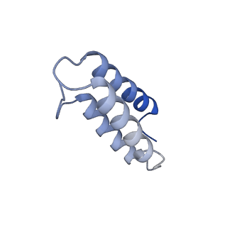17720_8qsj_v_v1-0
Human mitoribosomal large subunit assembly intermediate 2 with GTPBP7