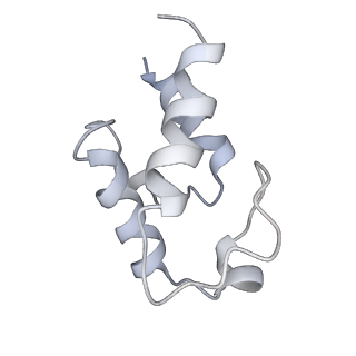 17720_8qsj_w_v1-0
Human mitoribosomal large subunit assembly intermediate 2 with GTPBP7