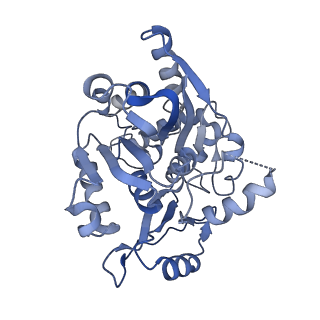17720_8qsj_x_v1-0
Human mitoribosomal large subunit assembly intermediate 2 with GTPBP7