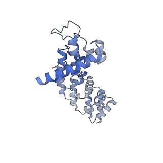 17720_8qsj_y_v1-0
Human mitoribosomal large subunit assembly intermediate 2 with GTPBP7