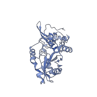17720_8qsj_z_v1-0
Human mitoribosomal large subunit assembly intermediate 2 with GTPBP7