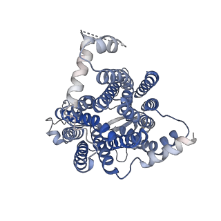 18635_8qsl_A_v1-0
Cryo-EM structure of human SLC15A4 dimer in outward open state in LMNG