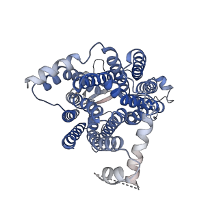 18635_8qsl_C_v1-0
Cryo-EM structure of human SLC15A4 dimer in outward open state in LMNG