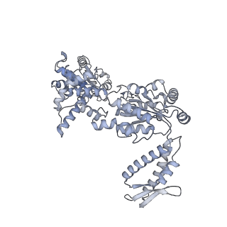 4621_6qs4_B_v1-2
Two-Step Activation Mechanism of the ClpB Disaggregase for Sequential Substrate Threading by the Main ATPase Motor.