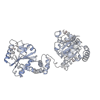 4624_6qs6_F_v1-2
ClpB (DWB and K476C mutant) bound to casein in presence of ATPgammaS - state KC-1