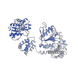 4626_6qs7_A_v1-1
ClpB (DWB and K476C mutant) bound to casein in presence of ATPgammaS - state KC-2A
