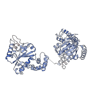 4626_6qs7_F_v1-1
ClpB (DWB and K476C mutant) bound to casein in presence of ATPgammaS - state KC-2A