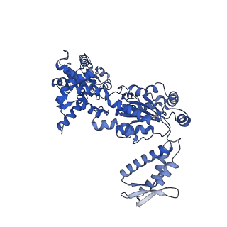 4627_6qs8_B_v1-4
ClpB (DWB and K476C mutant) bound to casein in presence of ATPgammaS - state KC-2B