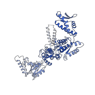4627_6qs8_E_v1-4
ClpB (DWB and K476C mutant) bound to casein in presence of ATPgammaS - state KC-2B