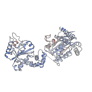 4627_6qs8_F_v1-4
ClpB (DWB and K476C mutant) bound to casein in presence of ATPgammaS - state KC-2B