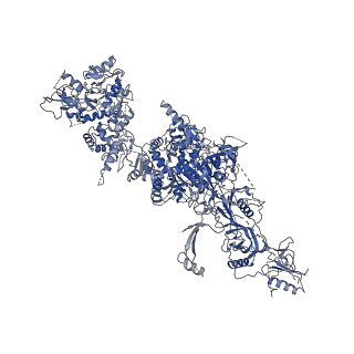 14145_7qtq_A_v1-1
Structure of Native, iodinated bovine thyroglobulin solved on strepavidin affinity grids.