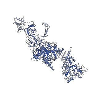 14145_7qtq_B_v1-1
Structure of Native, iodinated bovine thyroglobulin solved on strepavidin affinity grids.