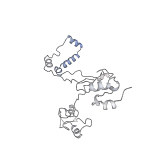 14146_7qtt_E_v1-3
Structural organization of a late activated human spliceosome (Baqr, core region)