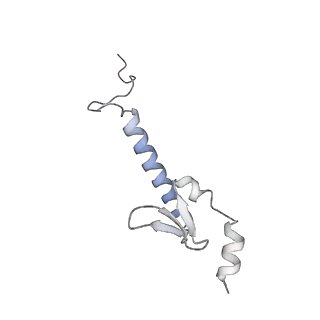14146_7qtt_I_v1-3
Structural organization of a late activated human spliceosome (Baqr, core region)