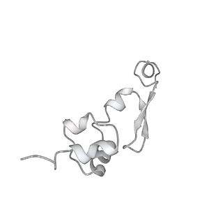 14146_7qtt_J_v1-3
Structural organization of a late activated human spliceosome (Baqr, core region)
