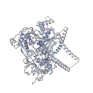 14146_7qtt_N_v1-3
Structural organization of a late activated human spliceosome (Baqr, core region)