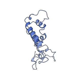 14146_7qtt_T_v1-3
Structural organization of a late activated human spliceosome (Baqr, core region)