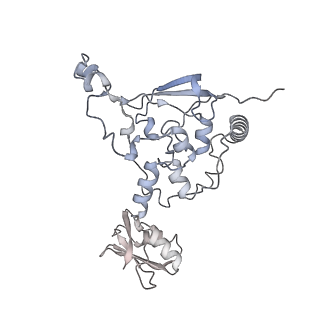 14146_7qtt_U_v1-3
Structural organization of a late activated human spliceosome (Baqr, core region)