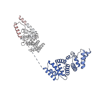 14146_7qtt_W_v1-3
Structural organization of a late activated human spliceosome (Baqr, core region)