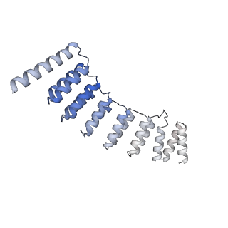 14146_7qtt_X_v1-3
Structural organization of a late activated human spliceosome (Baqr, core region)