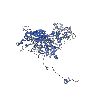 14146_7qtt_b_v1-3
Structural organization of a late activated human spliceosome (Baqr, core region)