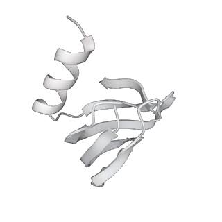 14146_7qtt_i_v1-3
Structural organization of a late activated human spliceosome (Baqr, core region)