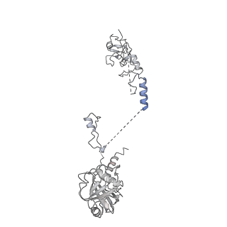 14146_7qtt_u_v1-3
Structural organization of a late activated human spliceosome (Baqr, core region)