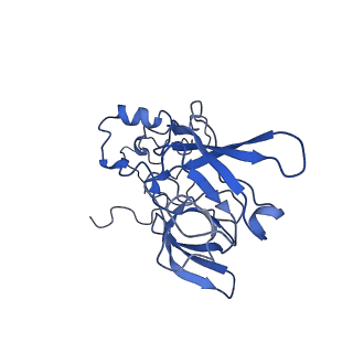 4630_6qt0_B_v1-2
Cryo-EM structures of Lsg1-TAP pre-60S ribosomal particles