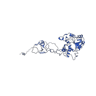 4630_6qt0_D_v1-2
Cryo-EM structures of Lsg1-TAP pre-60S ribosomal particles
