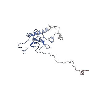 4630_6qt0_G_v1-2
Cryo-EM structures of Lsg1-TAP pre-60S ribosomal particles