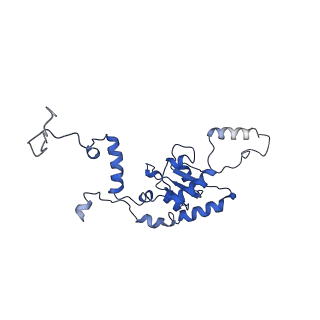 4630_6qt0_H_v1-2
Cryo-EM structures of Lsg1-TAP pre-60S ribosomal particles