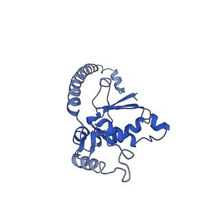 4630_6qt0_J_v1-2
Cryo-EM structures of Lsg1-TAP pre-60S ribosomal particles
