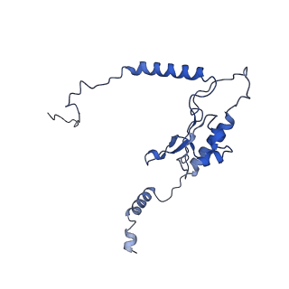 4630_6qt0_K_v1-2
Cryo-EM structures of Lsg1-TAP pre-60S ribosomal particles