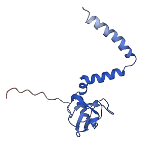 4630_6qt0_M_v1-2
Cryo-EM structures of Lsg1-TAP pre-60S ribosomal particles