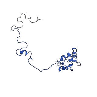 4630_6qt0_N_v1-2
Cryo-EM structures of Lsg1-TAP pre-60S ribosomal particles