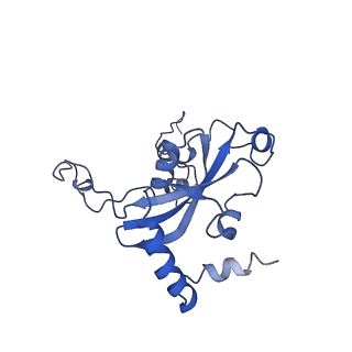 4630_6qt0_O_v1-2
Cryo-EM structures of Lsg1-TAP pre-60S ribosomal particles