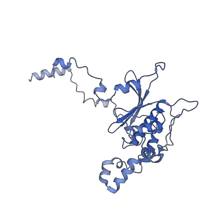 4630_6qt0_P_v1-2
Cryo-EM structures of Lsg1-TAP pre-60S ribosomal particles