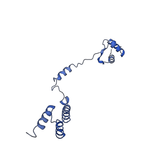 4630_6qt0_R_v1-2
Cryo-EM structures of Lsg1-TAP pre-60S ribosomal particles