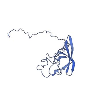 4630_6qt0_T_v1-2
Cryo-EM structures of Lsg1-TAP pre-60S ribosomal particles