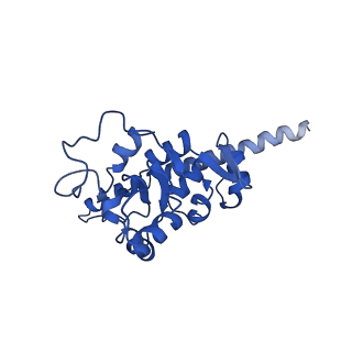 4630_6qt0_b_v1-2
Cryo-EM structures of Lsg1-TAP pre-60S ribosomal particles