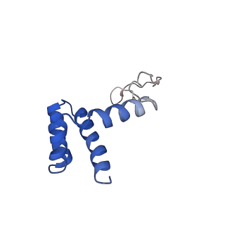 4630_6qt0_h_v1-2
Cryo-EM structures of Lsg1-TAP pre-60S ribosomal particles