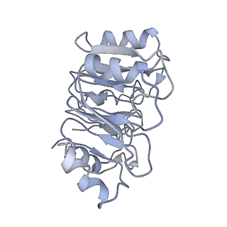 4630_6qt0_n_v1-2
Cryo-EM structures of Lsg1-TAP pre-60S ribosomal particles
