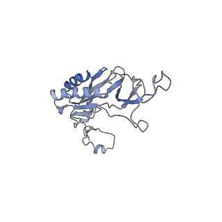4630_6qt0_q_v1-2
Cryo-EM structures of Lsg1-TAP pre-60S ribosomal particles