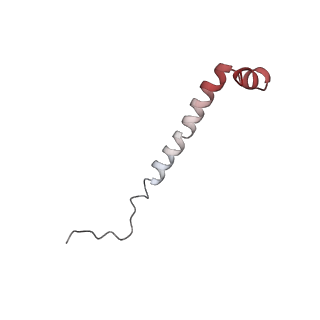 4630_6qt0_z_v1-2
Cryo-EM structures of Lsg1-TAP pre-60S ribosomal particles