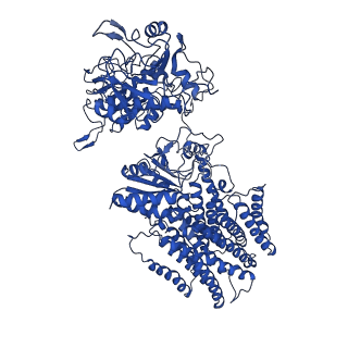 4635_6qti_A_v1-3
Structure of ovine transhydrogenase in the presence of NADP+ in a "double face-down" conformation
