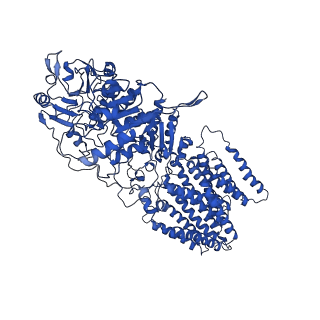 4635_6qti_B_v1-3
Structure of ovine transhydrogenase in the presence of NADP+ in a "double face-down" conformation