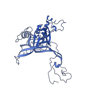 4636_6qtz_C_v1-1
Cryo-EM structures of Lsg1-TAP pre-60S ribosomal particles